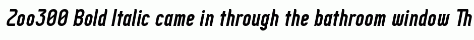 Zoo300 Bold Italic