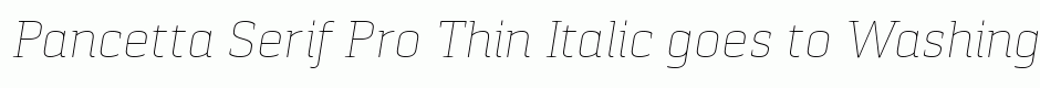Pancetta Serif Pro Thin Italic