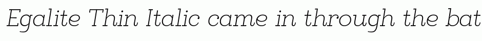 Egalite Thin Italic