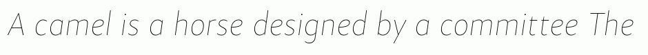 Samo Sans Pro Hair Italic