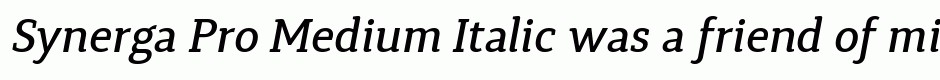 Synerga Pro Medium Italic