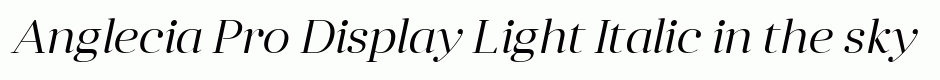 Anglecia Pro Display Light Italic