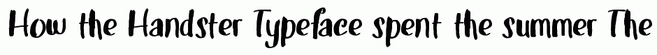 Handster Typeface