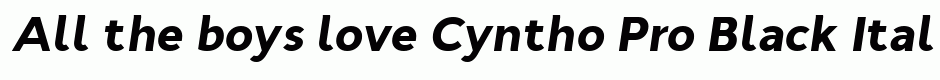 Cyntho Pro Black Italic