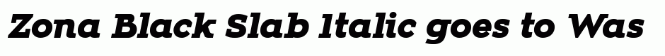 Zona Black Slab Italic