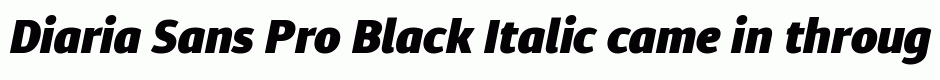 Diaria Sans Pro Black Italic