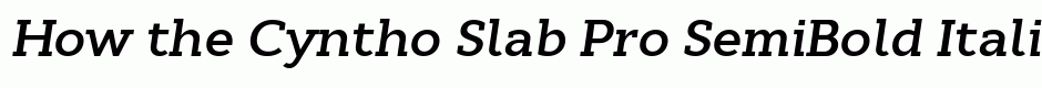 Cyntho Slab Pro SemiBold Italic