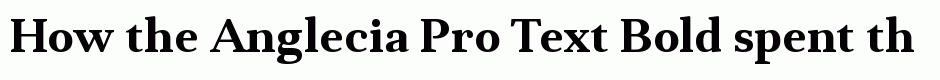 Anglecia Pro Text Bold