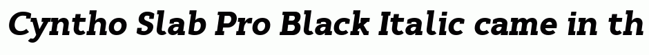 Cyntho Slab Pro Black Italic