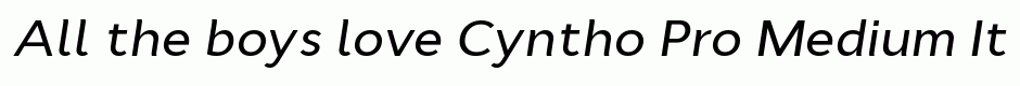 Cyntho Pro Medium Italic
