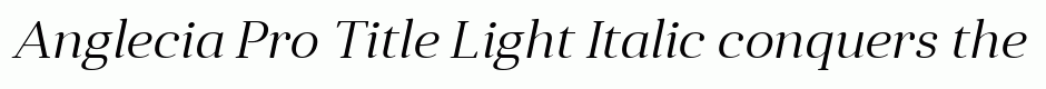Anglecia Pro Title Light Italic