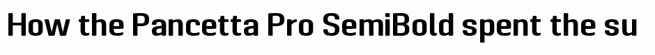 Pancetta Pro SemiBold