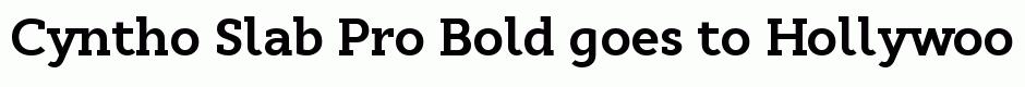Cyntho Slab Pro Bold