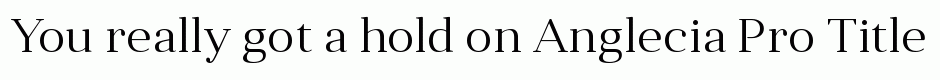 Anglecia Pro Title Light