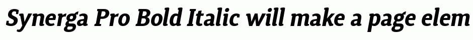 Synerga Pro Bold Italic
