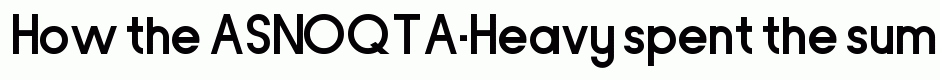 ASNOQTA-Heavy