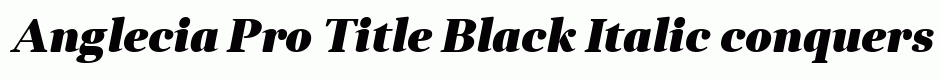 Anglecia Pro Title Black Italic