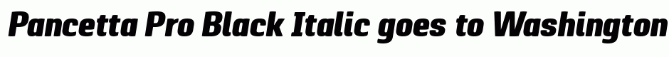 Pancetta Pro Black Italic