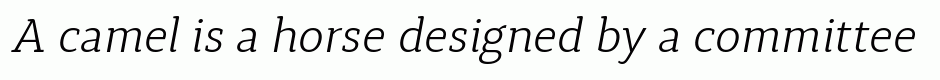 Synerga Pro Light Italic
