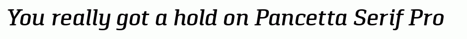 Pancetta Serif Pro Medium Italic
