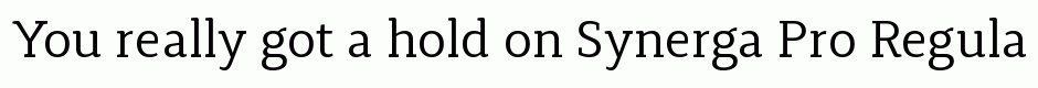 Synerga Pro Regular