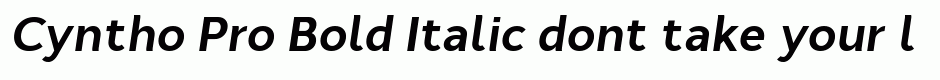 Cyntho Pro Bold Italic