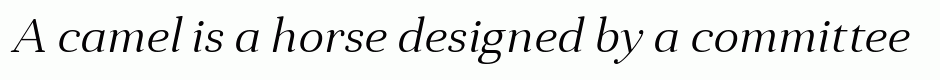 Anglecia Pro Text Light Italic