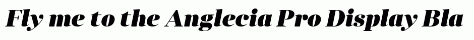 Anglecia Pro Display Black Italic