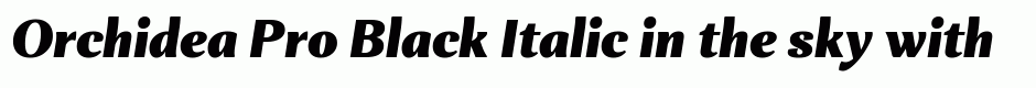 Orchidea Pro Black Italic
