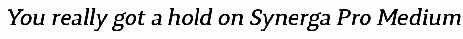 Synerga Pro Medium Italic