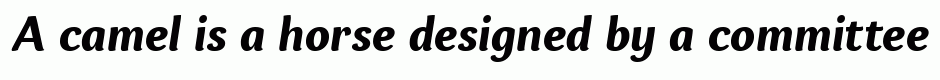 Espuma Pro Bold Italic