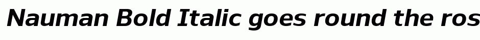 Nauman Bold Italic