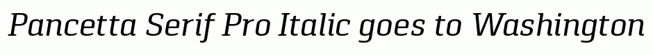 Pancetta Serif Pro Italic