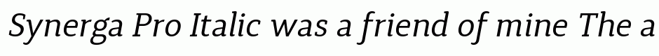 Synerga Pro Italic