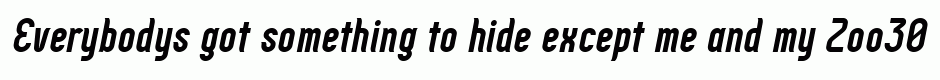 Zoo300 Bold Italic