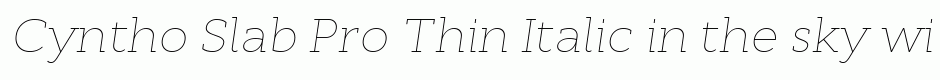 Cyntho Slab Pro Thin Italic