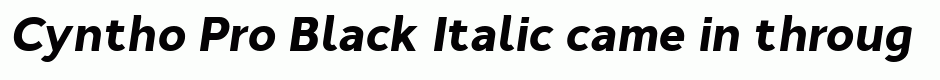 Cyntho Pro Black Italic