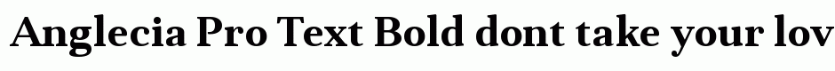 Anglecia Pro Text Bold