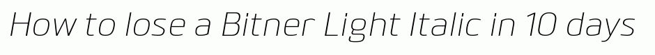 Bitner Light Italic