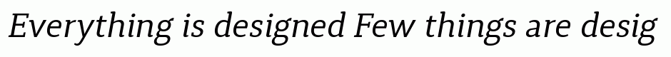 Synerga Pro Italic