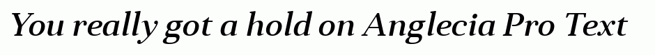 Anglecia Pro Text Medium Italic