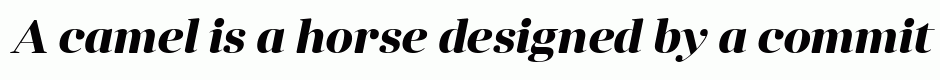 Anglecia Pro Display Bold Italic