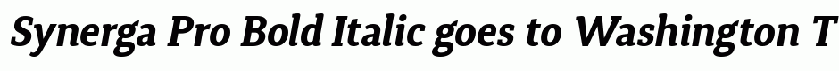 Synerga Pro Bold Italic