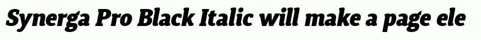 Synerga Pro Black Italic