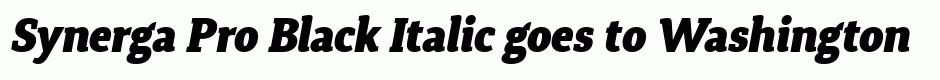 Synerga Pro Black Italic
