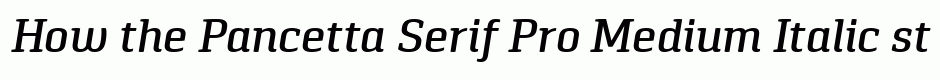 Pancetta Serif Pro Medium Italic