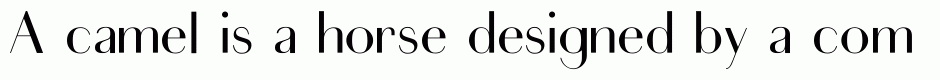 Sans Serif Didot