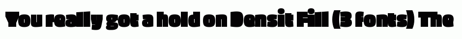 Densit Fill (3 fonts)