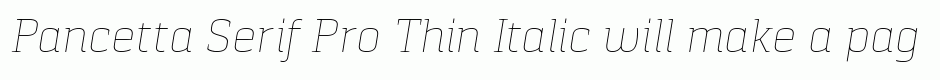 Pancetta Serif Pro Thin Italic