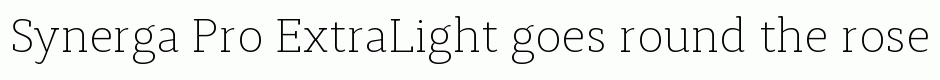 Synerga Pro ExtraLight
